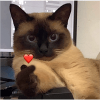 sticker image #10