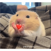 sticker image #13