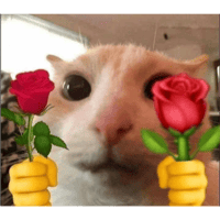 sticker image #2