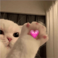 sticker image #24