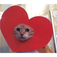 sticker image #30