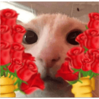 sticker image #5
