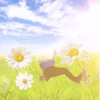 sticker image #14