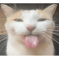 sticker image #22