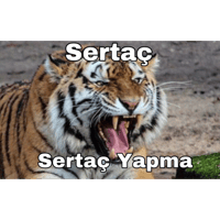 sticker image #2