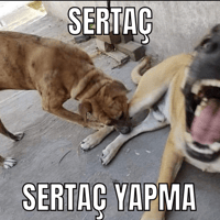 sticker image #20