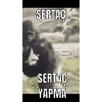 sticker image #3