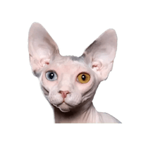 sticker image #1
