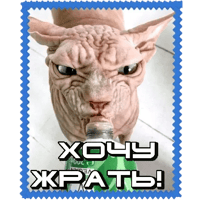 sticker image #13