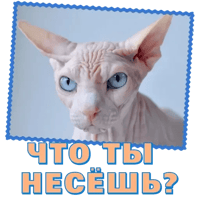 sticker image #15