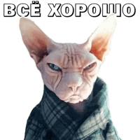 sticker image #17