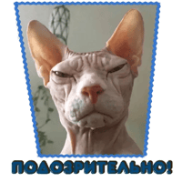sticker image #2