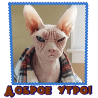 sticker image #3