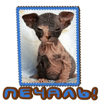 sticker image #4