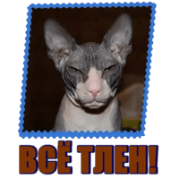 sticker image #5