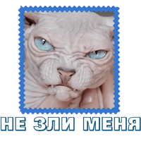 sticker image #7