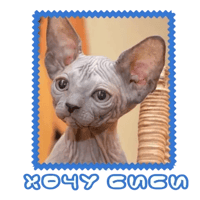 sticker image #8