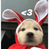 sticker image #1