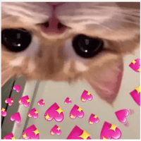 sticker image #18