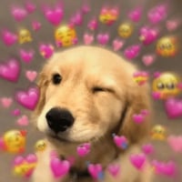 sticker image #27