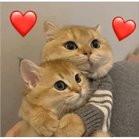 sticker image #30