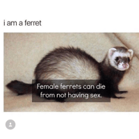 sticker image #19