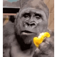 sticker image #19