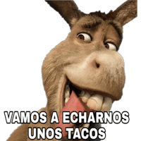 Burro no Shrek 2 - Meme by Filverygood :) Memedroid