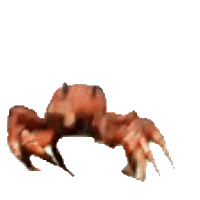 sticker image #26
