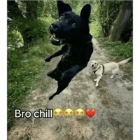 sticker image #24