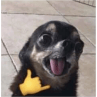 sticker image #1
