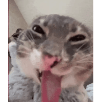 sticker image #29