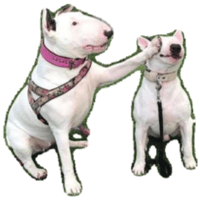 sticker image #1