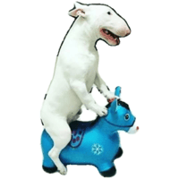 sticker image #10