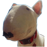 sticker image #12