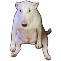 sticker image #13