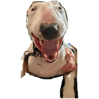 sticker image #16