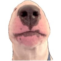 sticker image #17