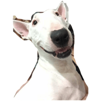 sticker image #19