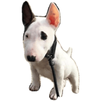 sticker image #2