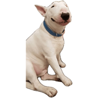 sticker image #3
