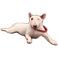 sticker image #4