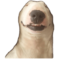 sticker image #5