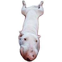 sticker image #6