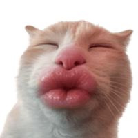 sticker image #12