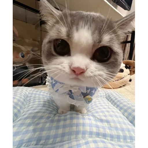 tray_icon #130492 sticker_pack