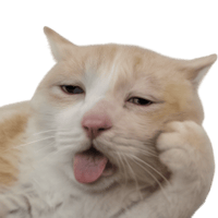 sticker image #19