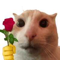 sticker image #5