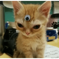 sticker image #19