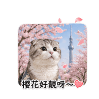 sticker image #4